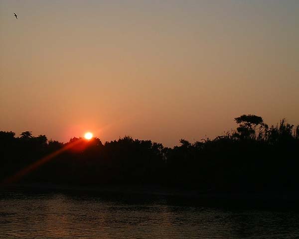 Chincoteague05 044