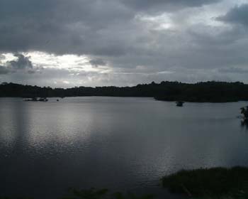 DSCF0050